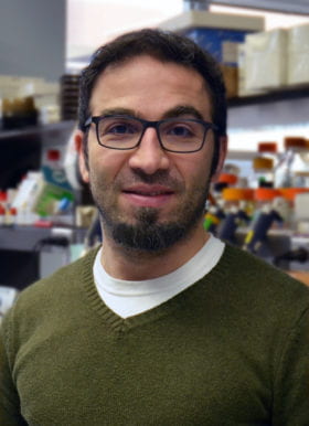 Hani Y. Suleiman, MD, PhD