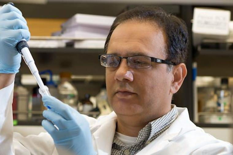Lodhi receives $2M grant to study mitochondrial dynamics in brown fat-mediated thermogenesis