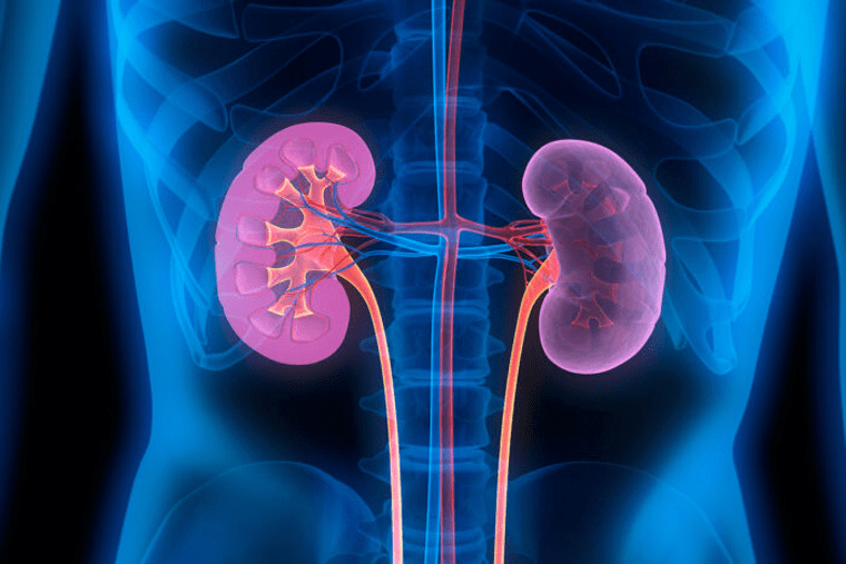 Progression of diabetic kidney disease may be slowed with drug combinations