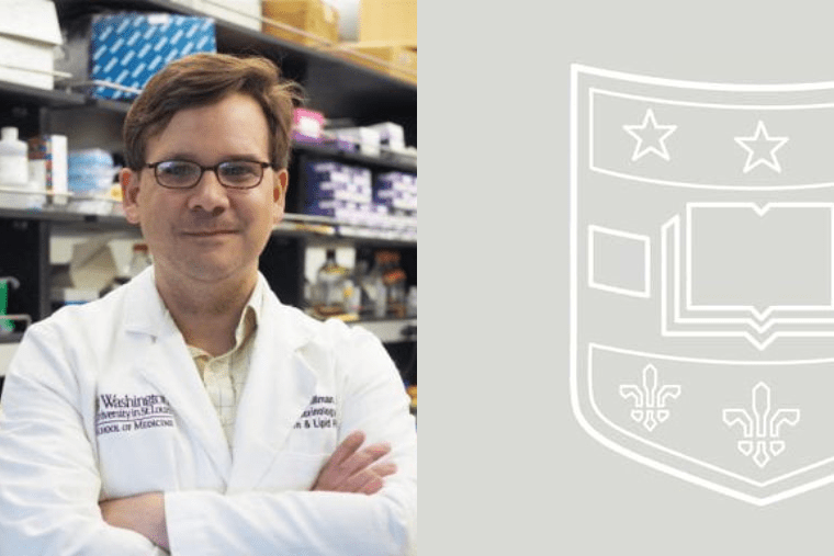 Millman receives grant renewal to advance diabetes cell replacement therapy and disease modeling 